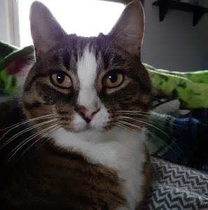 Meet your Posher, Lucinda